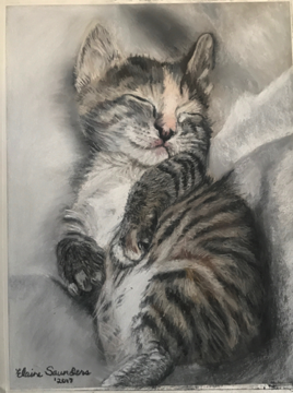 Tabby- kitten -sleeping 9x12
Original $250